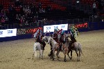 Quadrille - 00254
